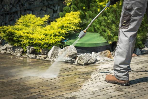 Best Driveway Pressure Washing  in Coburg, OR