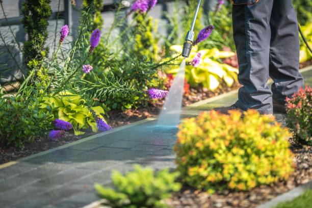Best Restaurant Pressure Washing  in Coburg, OR