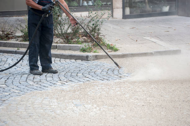Best Pre-Holiday Cleaning  in Coburg, OR